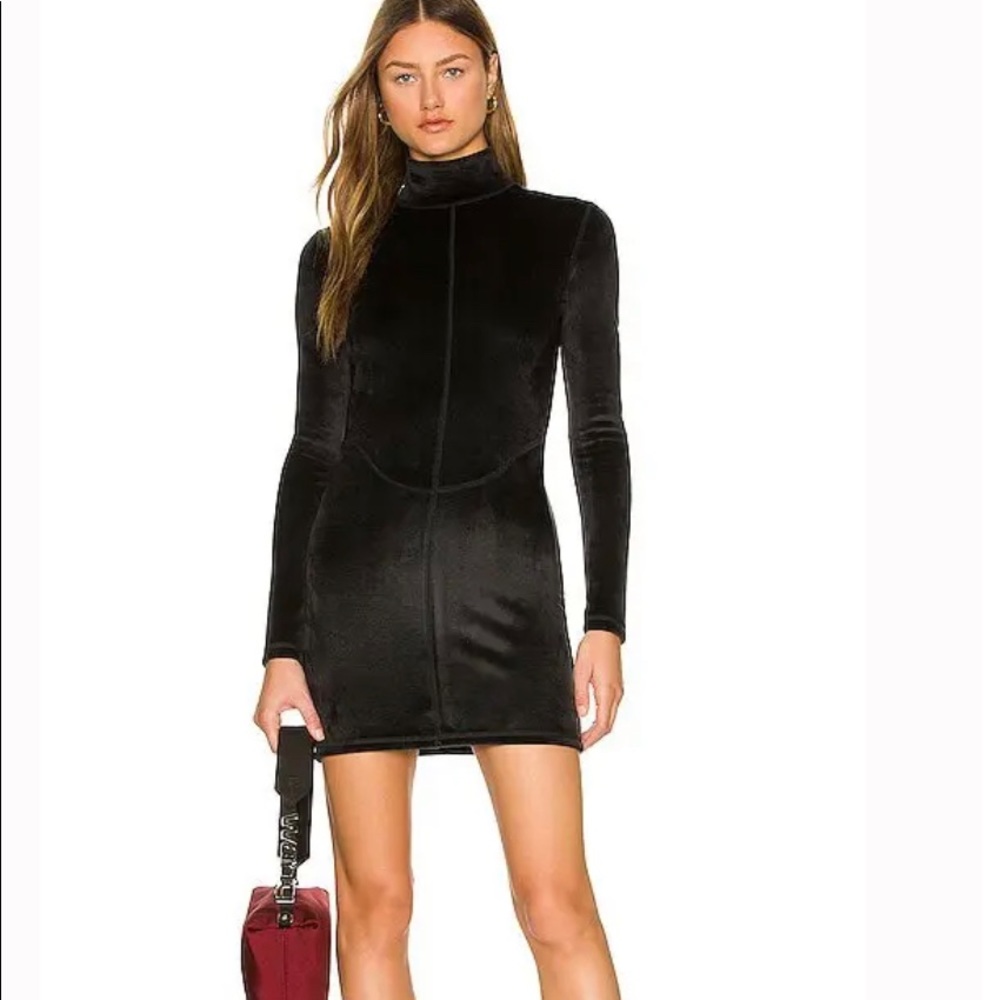 Black Velvet Alexander Wang Dress